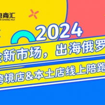 跨境电商 新蓝海 俄罗斯OZON本土电商全攻略 百度网盘下载