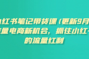 小红书 笔记带货课 抓住流量红利电商新机会 百度网盘打包下载